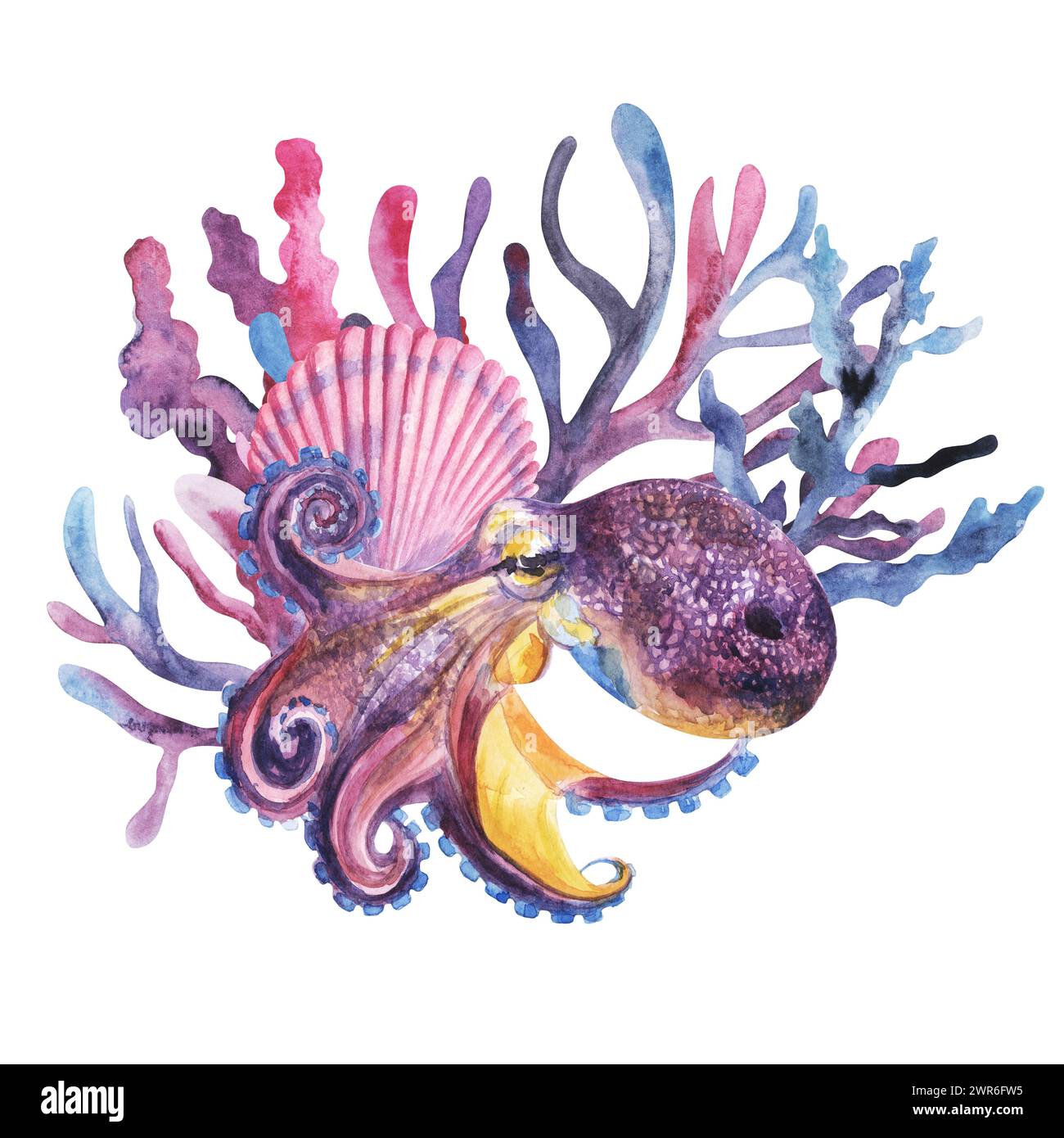 dans les profondeurs de la mer, poulpe violette géante avec coraux et coquille rose, style aquarelle, illustration dessinée à la main. Pour design, imprimé, textile, fabr Banque D'Images