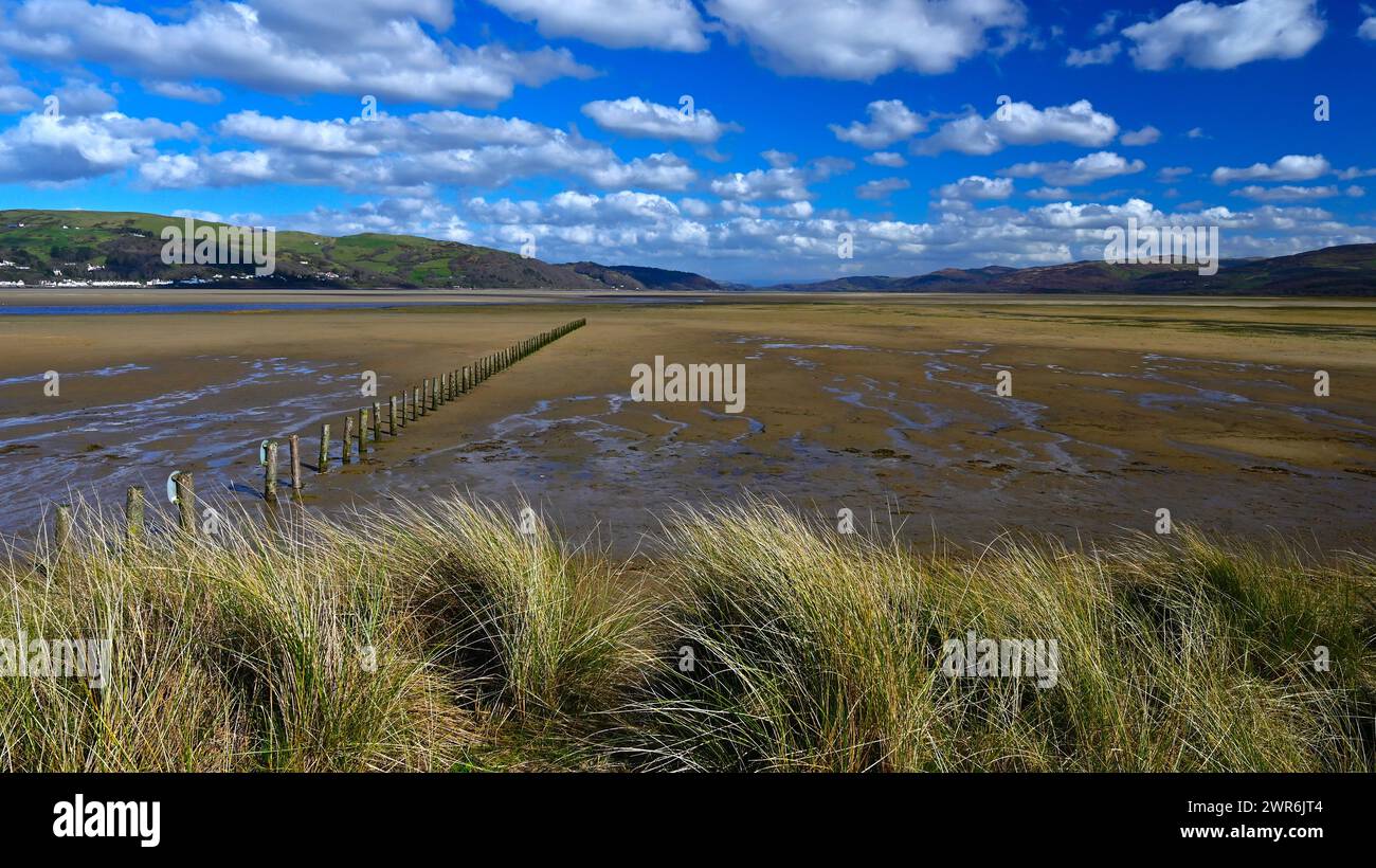 Printemps sur l'estuaire Dyfi, Ceredigion Wales UK Banque D'Images