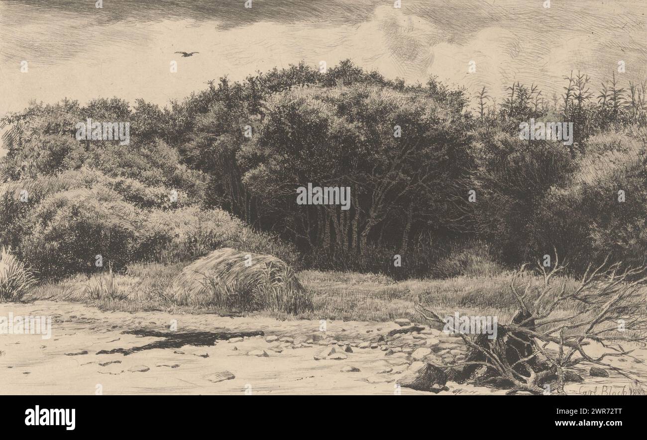 Paysage avec bordure de forêt, paysage. Une forêt occupe toute la largeur du premier plan. Un peu de bois mort à l'avant droit., imprimeur : Carl Bloch, Danemark, 1883 - 1881, papier, gravure, pointe sèche, hauteur 177 mm × largeur 278 mm, impression Banque D'Images Paysage avec bordure de forêt, paysage. Une forêt occupe toute la largeur du premier plan. Un peu de bois mort à l'avant droit., imprimeur : Carl Bloch, Danemark, 1883 - 1881, papier, gravure, pointe sèche, hauteur 177 mm × largeur 278 mm, impression Banque D'Images