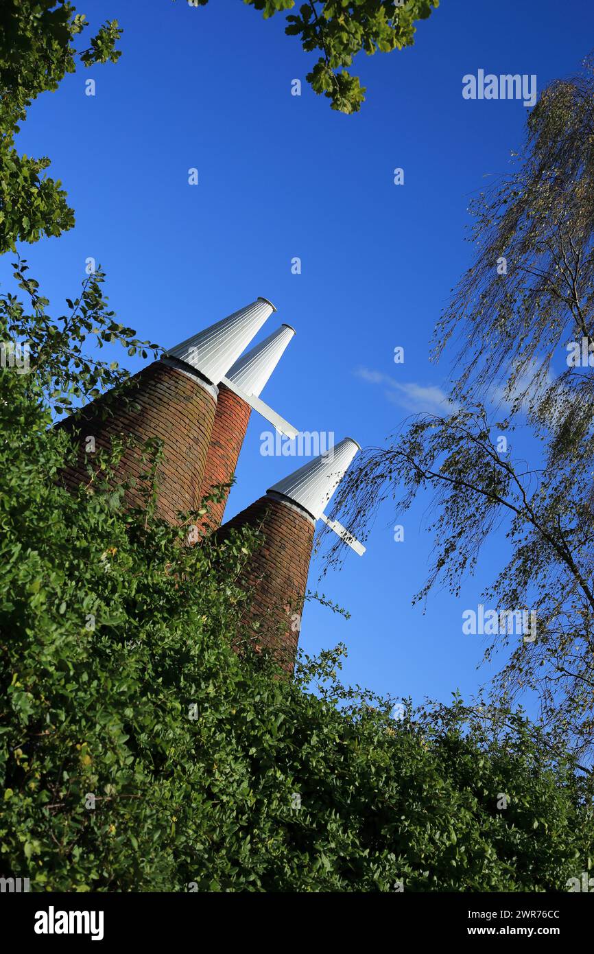 Oasts à Hale Farm, Tudeley Hale, Tudeley, Tonbridge, Kent, Angleterre, Royaume-Uni Banque D'Images