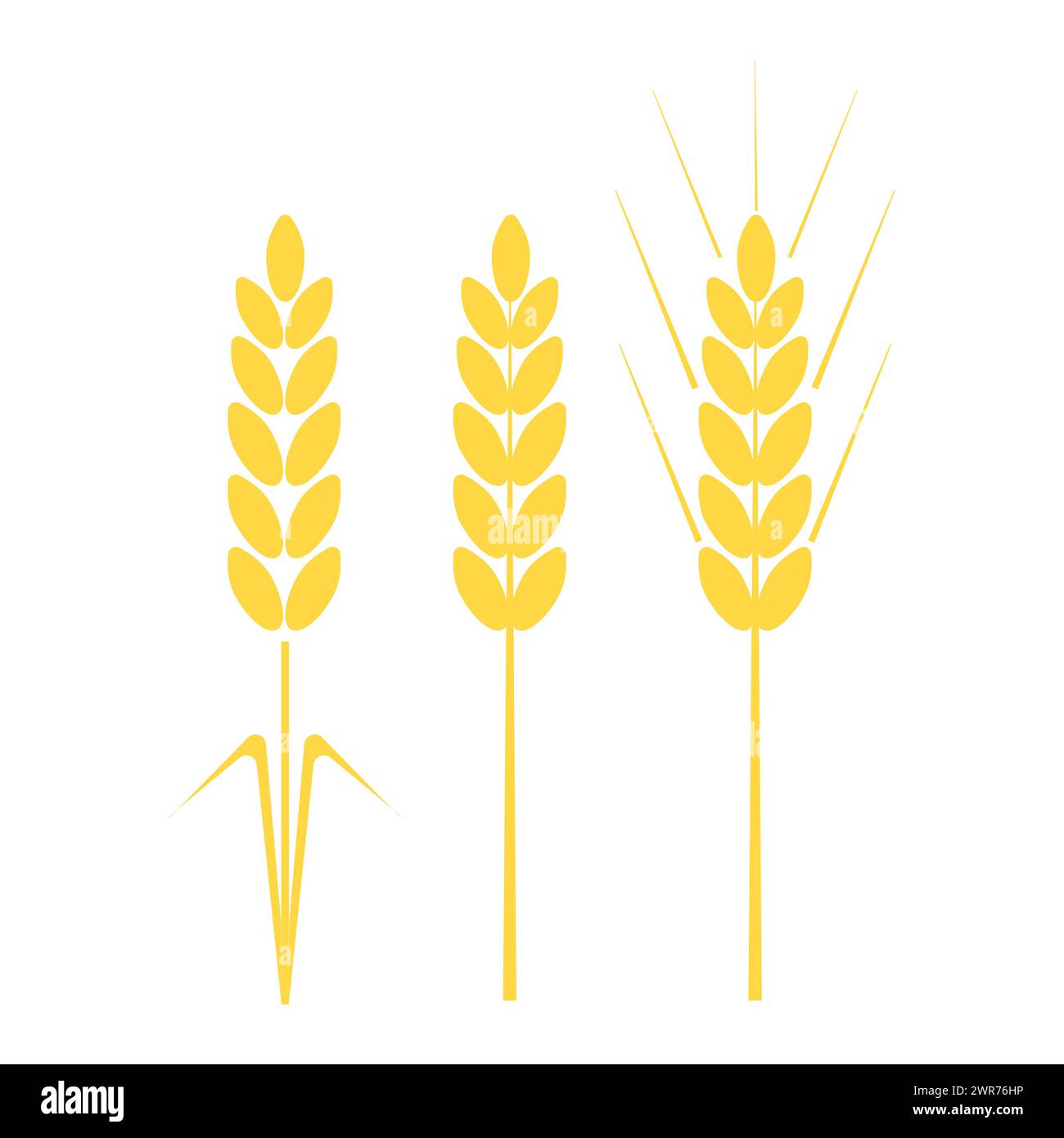 Icône d'oreille de blé doré. Illustration vectorielle. SPE 10. Illustration de Vecteur