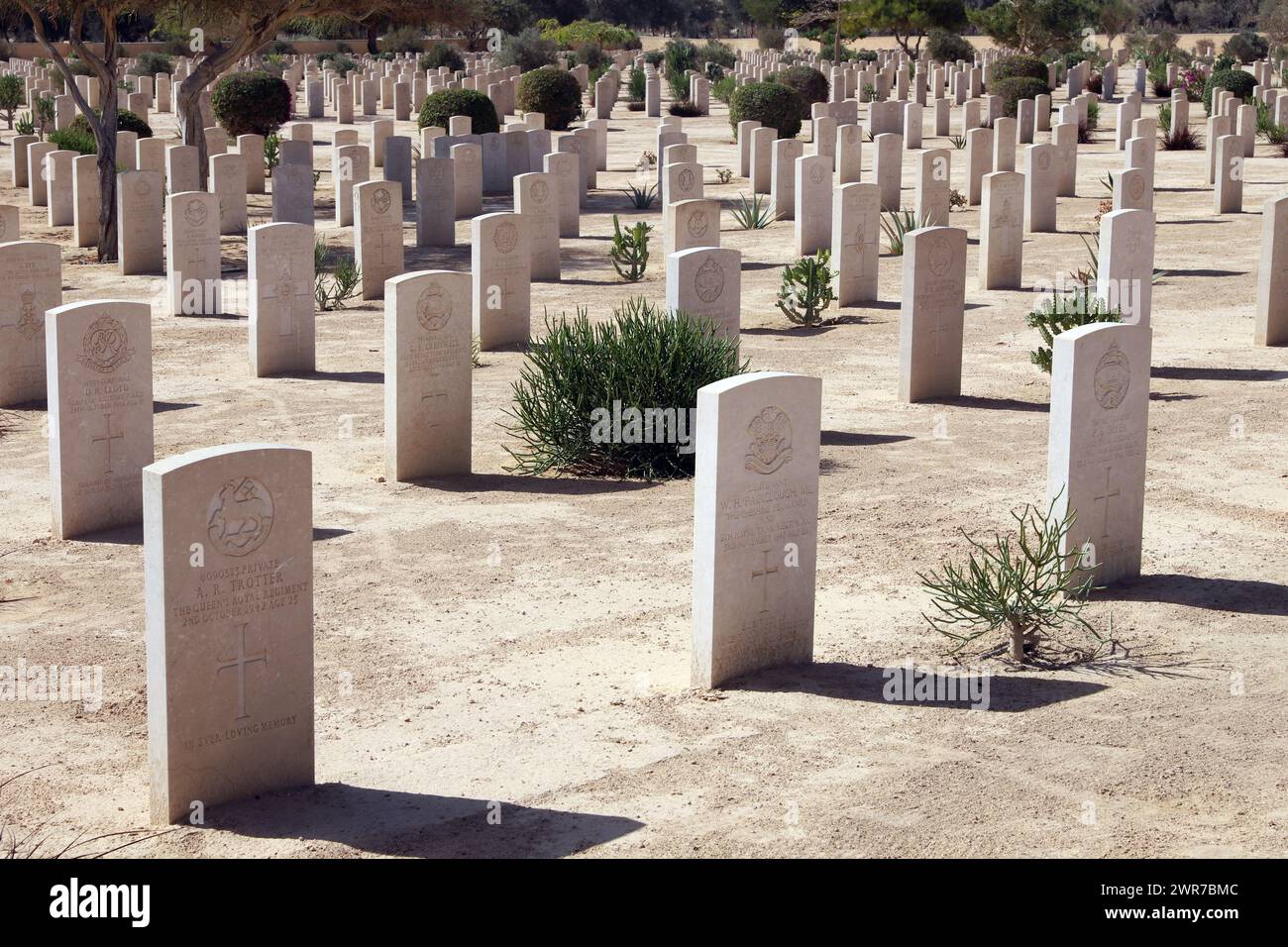 El.Alamein, Egypte, 10 octobre 2023 le cimetière militaire de guerre du Commonwealth à El-Alamein, Côte Nord de l'Egypte, Afrique du Nord Banque D'Images