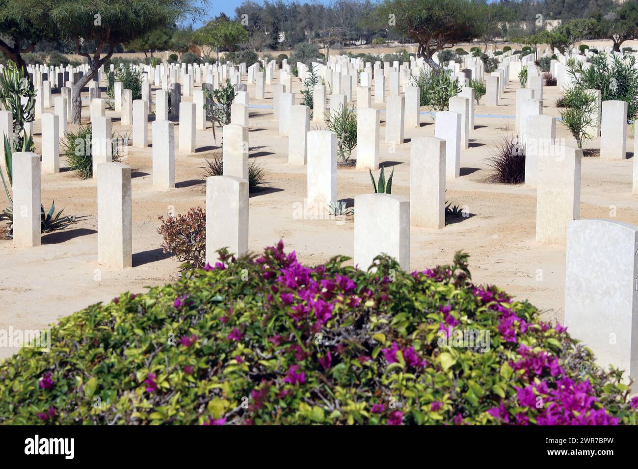 El.Alamein, Egypte, 10 octobre 2023 le cimetière militaire de guerre du Commonwealth à El-Alamein, Côte Nord de l'Egypte, Afrique du Nord Banque D'Images