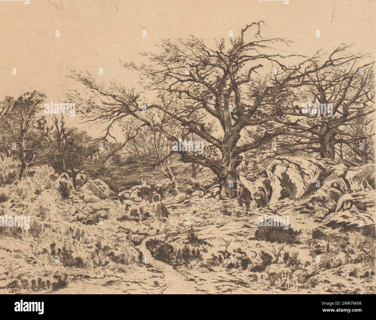 Chasseurs dans la forêt de Fontainebleau, imprimeur : Auguste danse, (signé par l'artiste), après conception par : Théodore Baron, 1897, papier, gravure, pointe sèche, hauteur 407 mm × largeur 532 mm, impression Banque D'Images