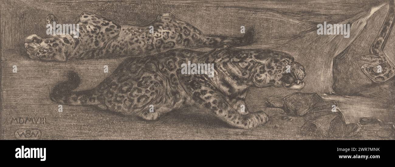 Jaguars (titre original), imprimeur : Bernard Willem Wierink, 1908, papier, hauteur 172 mm × largeur 413 mm, imprimé Banque D'Images