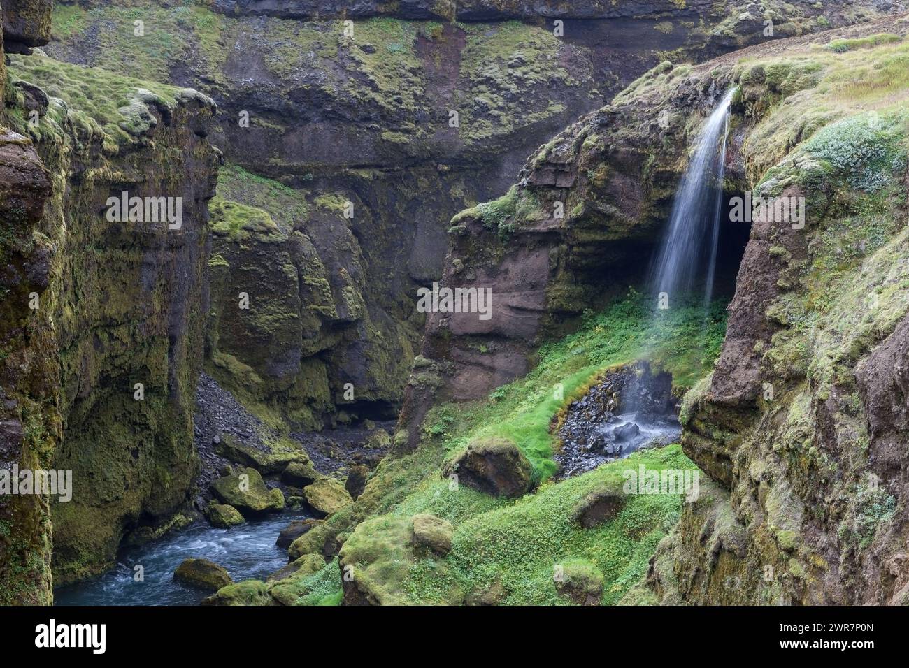 Canyon de la rivière Skogar avec végétation verte et petites cascades. Banque D'Images