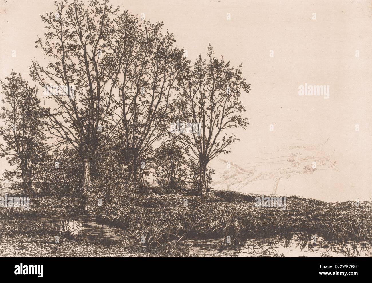 Paysage avec quatre saules et un ruisseau, imprimeur : Alfred Elsen, (signé par l'artiste), 1881, papier, gravure, hauteur 235 mm × largeur 329 mm, impression Banque D'Images