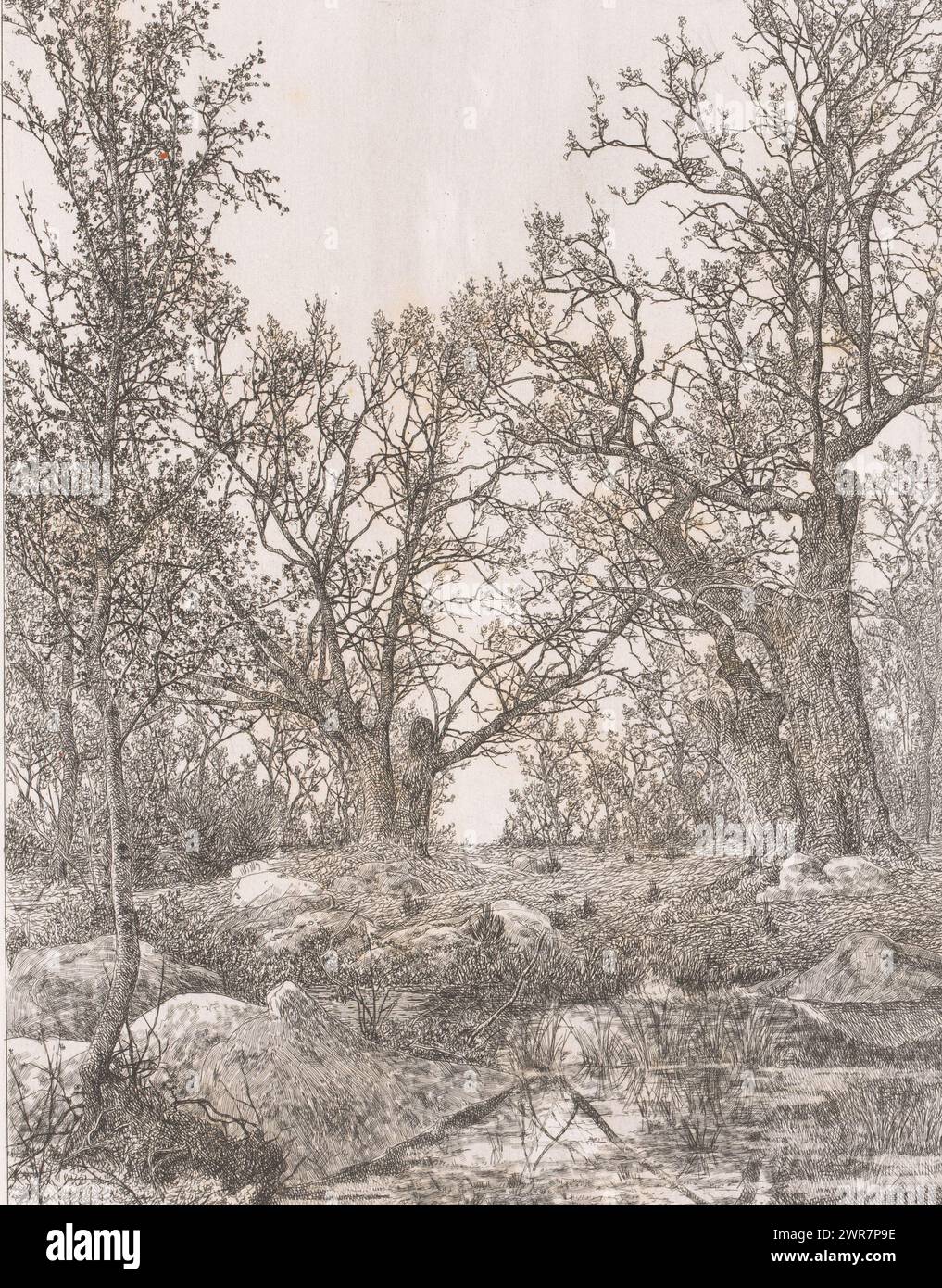 Paysage marécageux avec arbres, imprimeur : Alfred Elsen, 1879, papier, gravure, hauteur 295 mm × largeur 232 mm, impression Banque D'Images