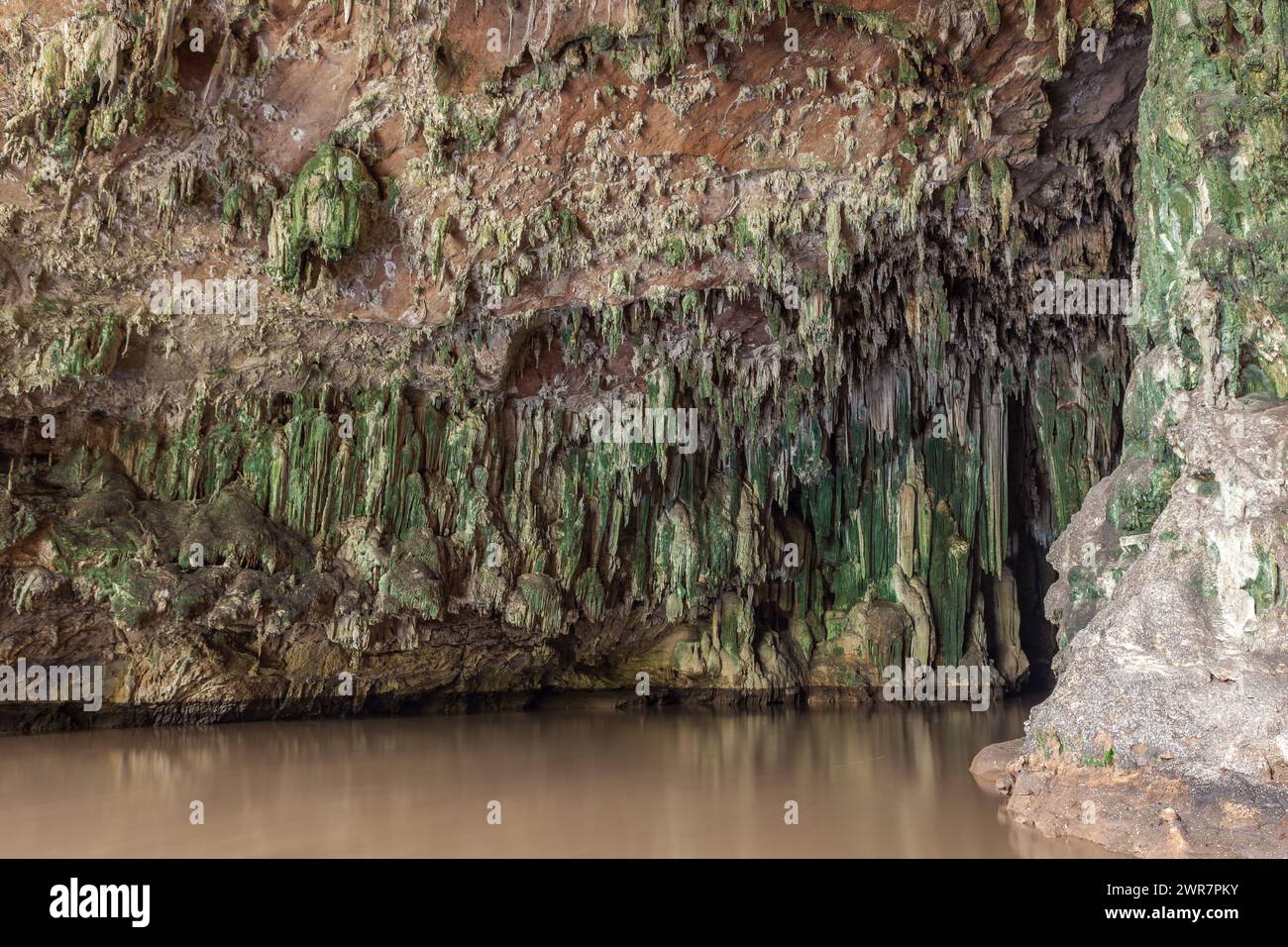 Mur de la grotte rempli de stalactites et stalagmites couvertes de mousse verte et rivière nuageuse coulant en dessous. Tham Lot (Lod) grotte près de Soppong, Mae Banque D'Images