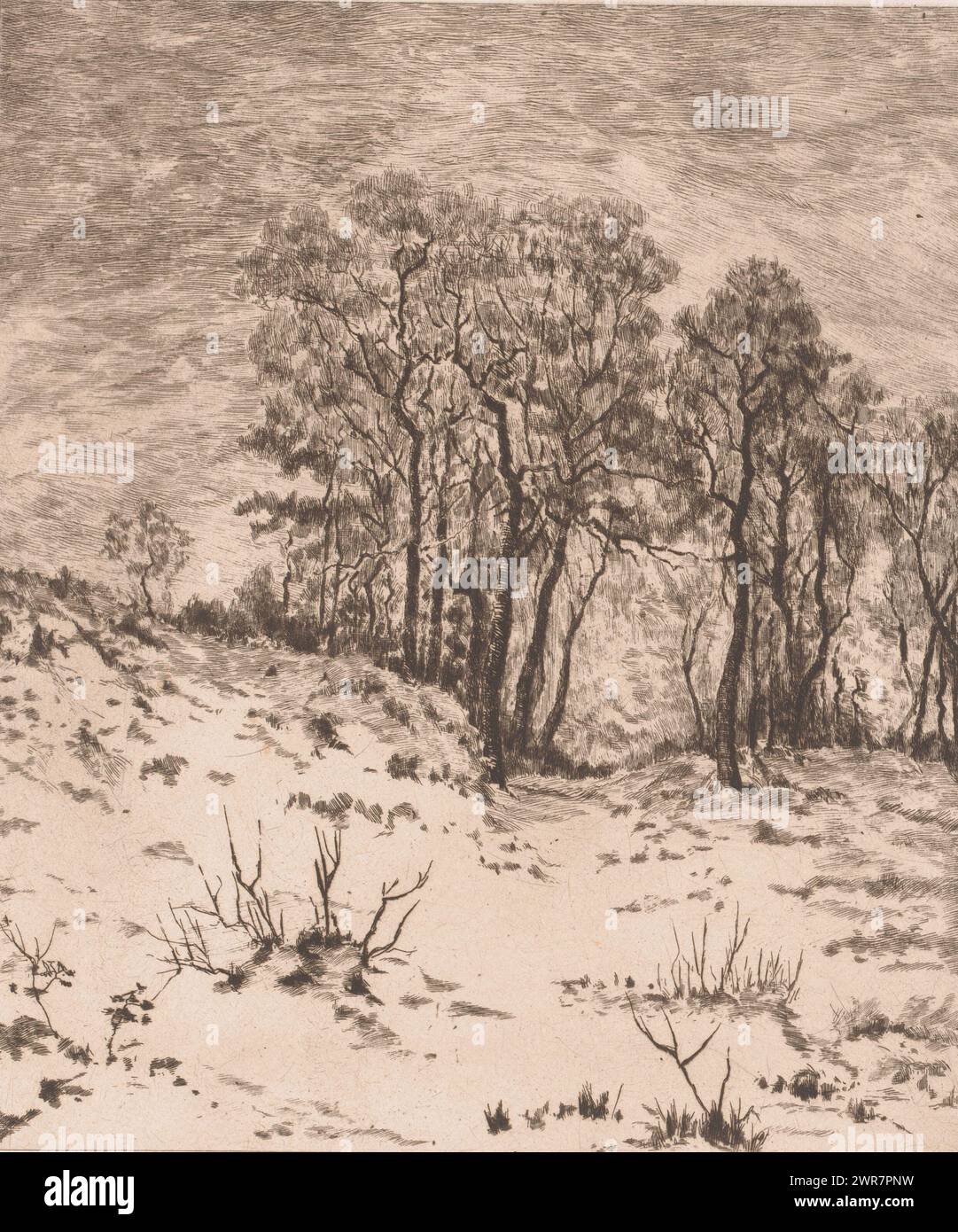 Paysage d'hiver, Nivose, imprimeur : Jules Guiette, 1862 - 1901, papier, gravure, hauteur 316 mm × largeur 237 mm, impression Banque D'Images