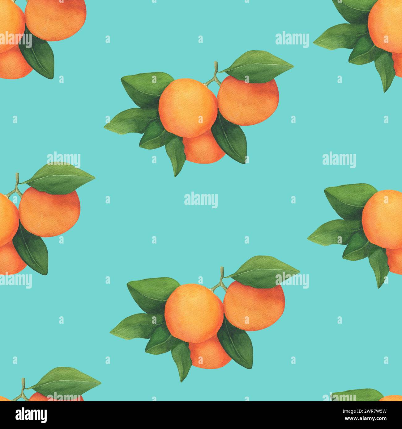 Branches d'aquarelle avec un motif sans couture d'oranges. Lumineux, impression pour les textiles, invitations de mariage, cartes postales, carte; papiers peints, étuis pour téléphone ou ordinateur portable Banque D'Images