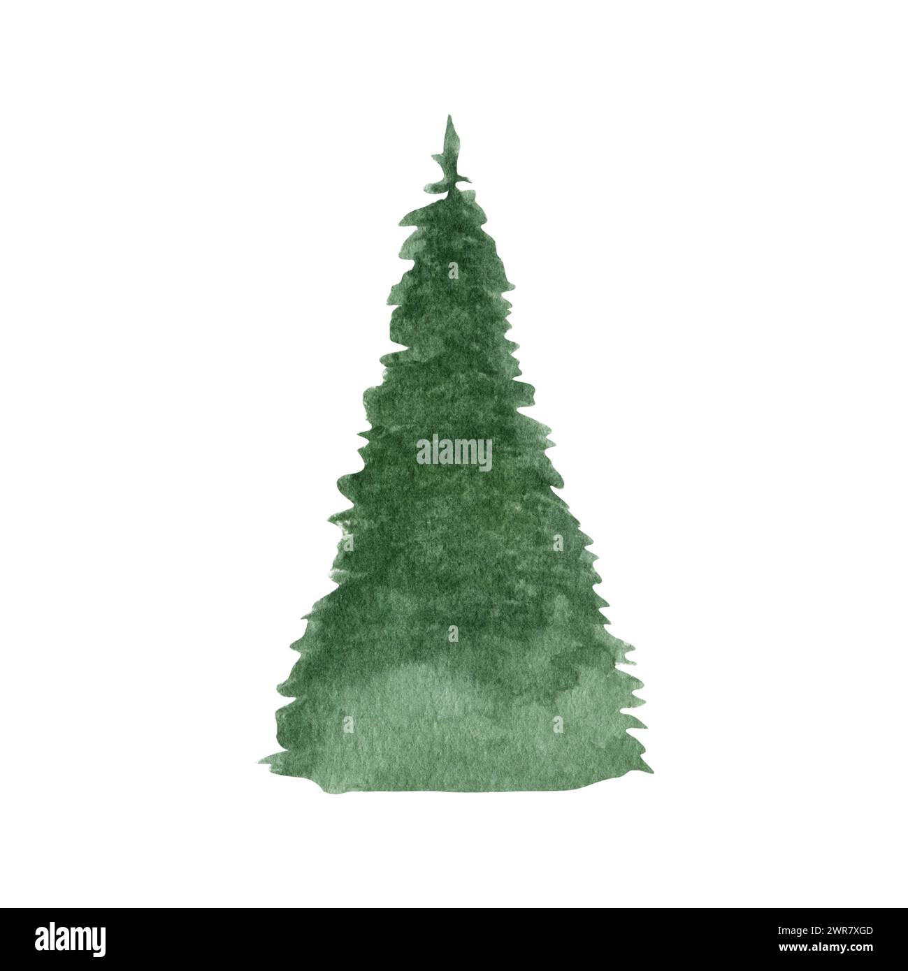 Illustration aquarelle d'un sapin. L'épinette est dessinée à la main sur un fond blanc. Pour cartes postales et boîtes cadeaux, textiles, sites Web, carte ; pape de vacances Banque D'Images