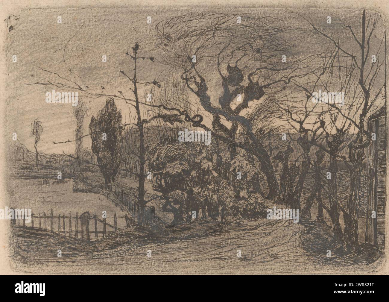 Chemin de jardin avec saules (titre original), imprimeur : Floris Verster, 1871 - 1927, papier, gravure, hauteur 139 mm × largeur 200 mm, tirage Banque D'Images