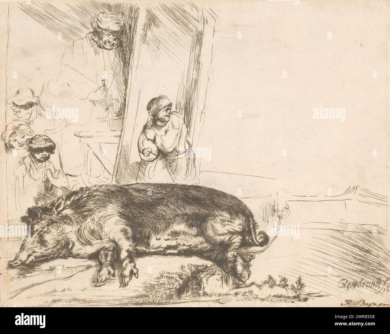 Le porc, imprimeur : Richard Byron, après impression par : Rembrandt van Rijn, 1750 - 1799, papier, gravure, hauteur 143 mm × largeur 184 mm, impression Banque D'Images