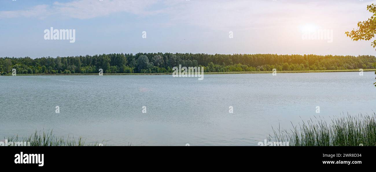 Panorama d'une forêt verdoyante sur la rive opposée d'un lac ou d'une rivière et un fond de ciel bleu et de beau temps ensoleillé Banque D'Images