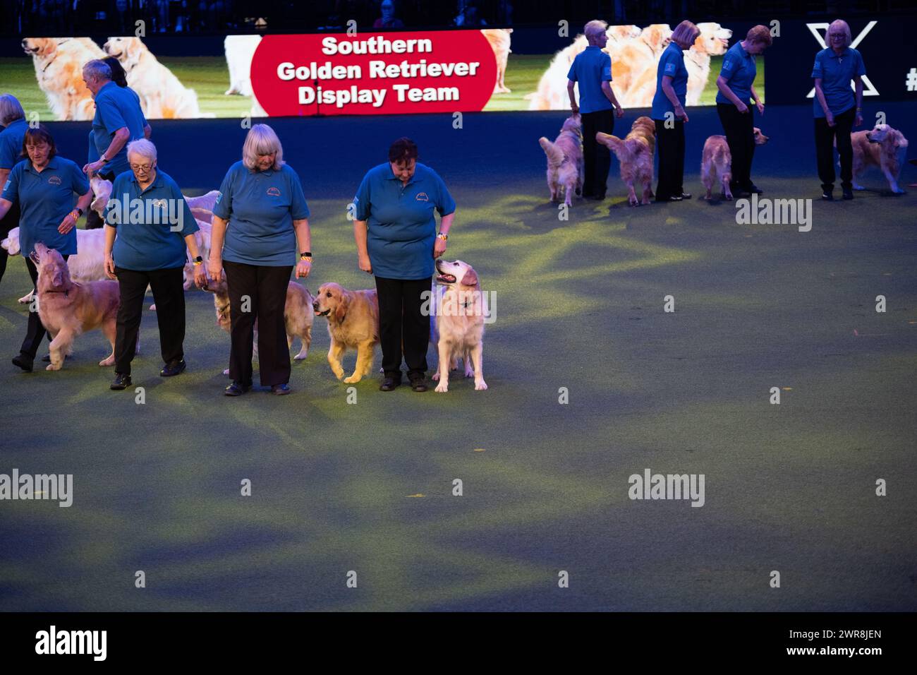 CRUFTS 2024 SOUTHERN GOLDEN RETRIEVER Banque D'Images