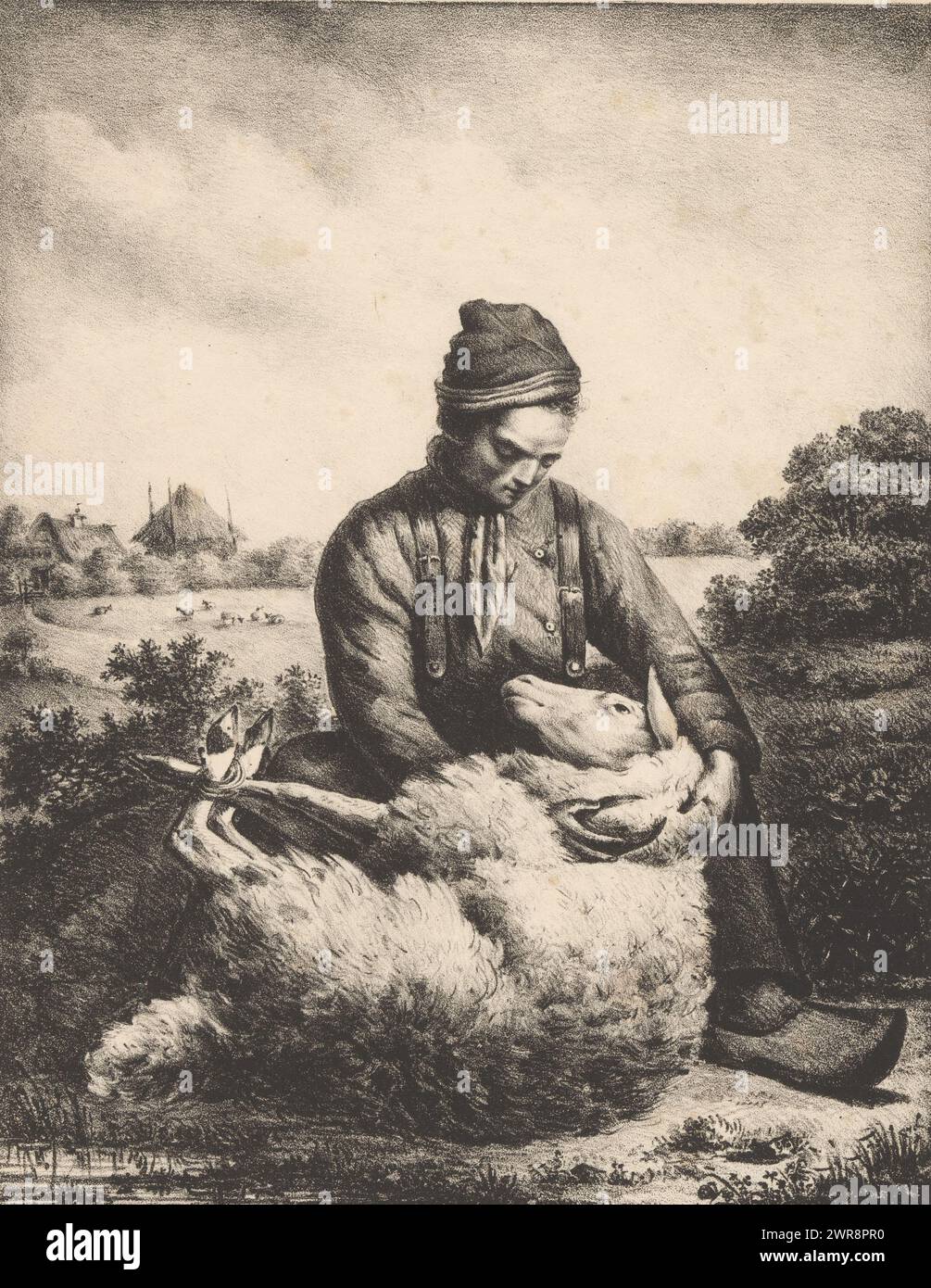 Haveuse de moutons, imprimeur : anonyme, pays-Bas, 1800 - 1899, papier, hauteur 379 mm × largeur 263 mm, impression Banque D'Images