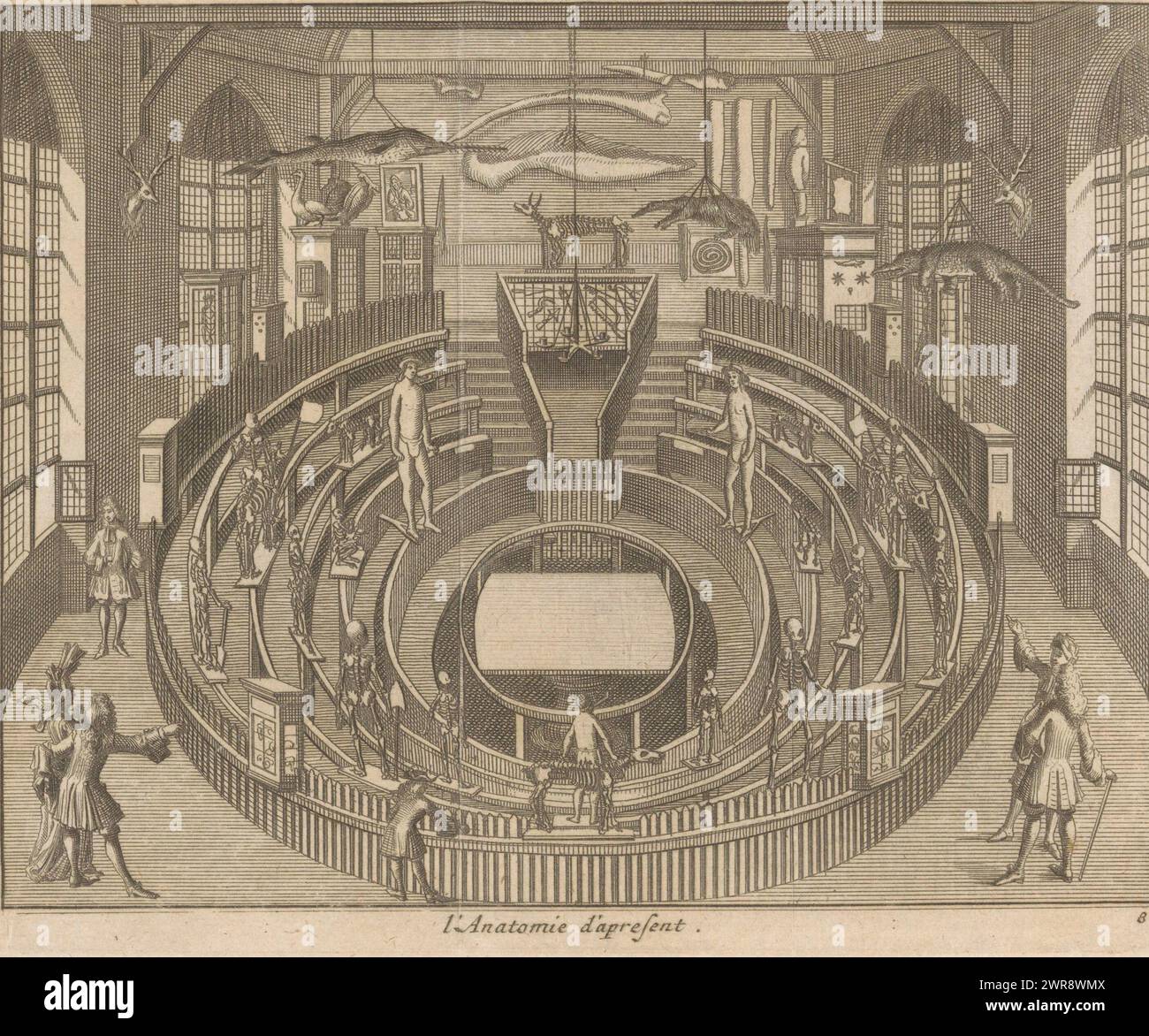 Le Theatrum Anatomicum à Leyde vu de l'intérieur, L'anatomie d'apresent (titre sur objet), le Theatrum Anatomicum (théâtre anatomique) à Leyde vu de l'intérieur, tel qu'il se présentait au moment de la publication de cette estampe (1712). Diverses personnes sont présentes dans la pièce et des squelettes de personnes et d'animaux sont exposés. Des animaux en peluche pendent au plafond. Numéroté en bas à droite : 8., imprimeur : anonyme, éditeur : Pieter van der AA (I), (éventuellement), Leiden, 1712, papier, gravure, hauteur 138 mm × largeur 167 mm, impression Banque D'Images