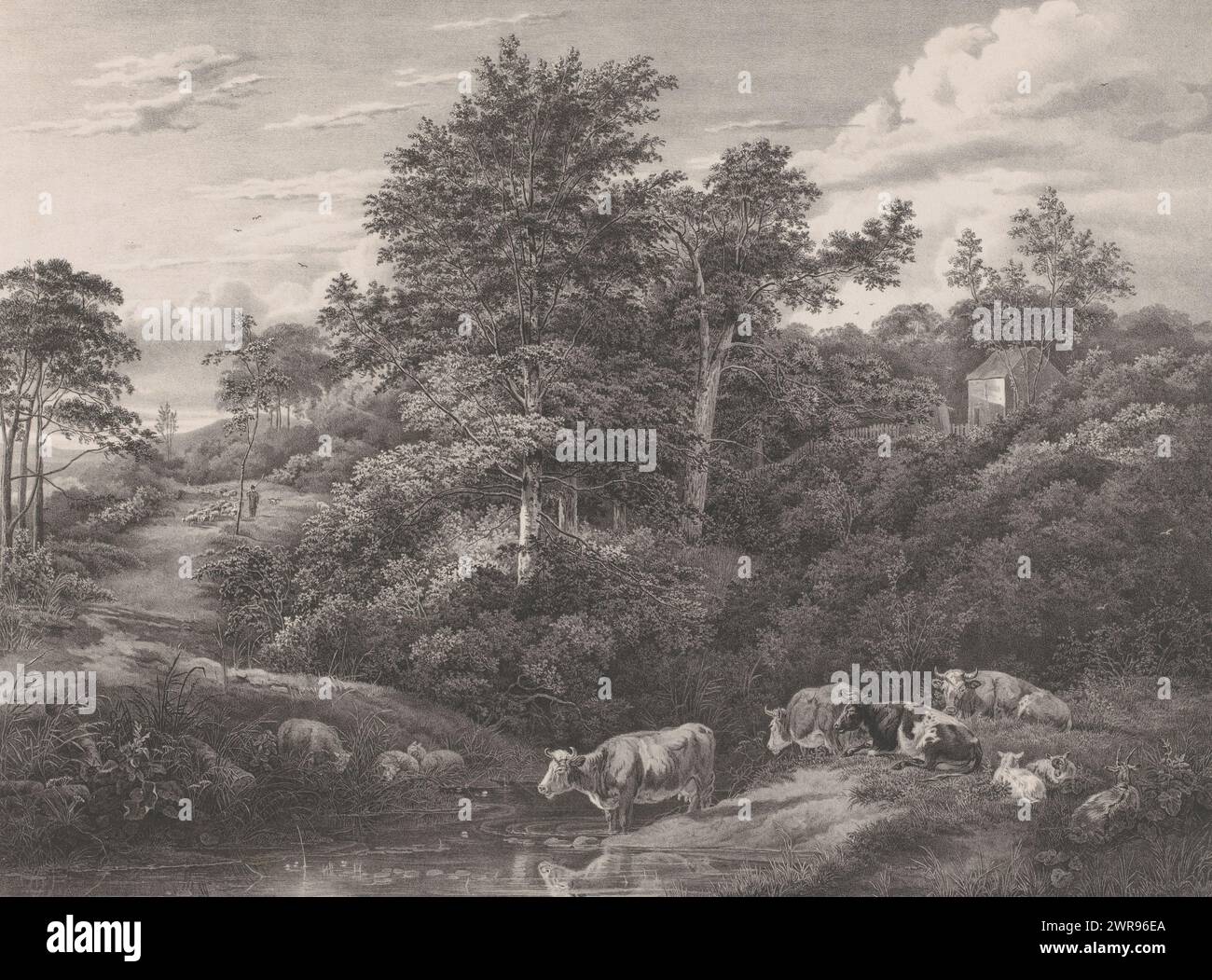 Paysage avec des vaches sur l'eau, peintures de maîtres hollandais de la collection de Wijlen den Wel-Ed. Né Mr J.A. van Dam (titre de la série), les vaches, les chèvres et les moutons reposent au bord d'un ruisseau. En arrière-plan à gauche, un berger marche avec son troupeau. une maison sur la droite. Partie d'une couverture avec neuf lithographies d'après des peintures de maîtres hollandais., imprimeur : Jan Dam Steuerwald, après peinture par : Pieter Gerardus van OS, imprimeur : Jan Dam Steuerwald, la Haye, 1833 - 1863, papier, hauteur 396 mm × largeur 491 mm, impression Banque D'Images