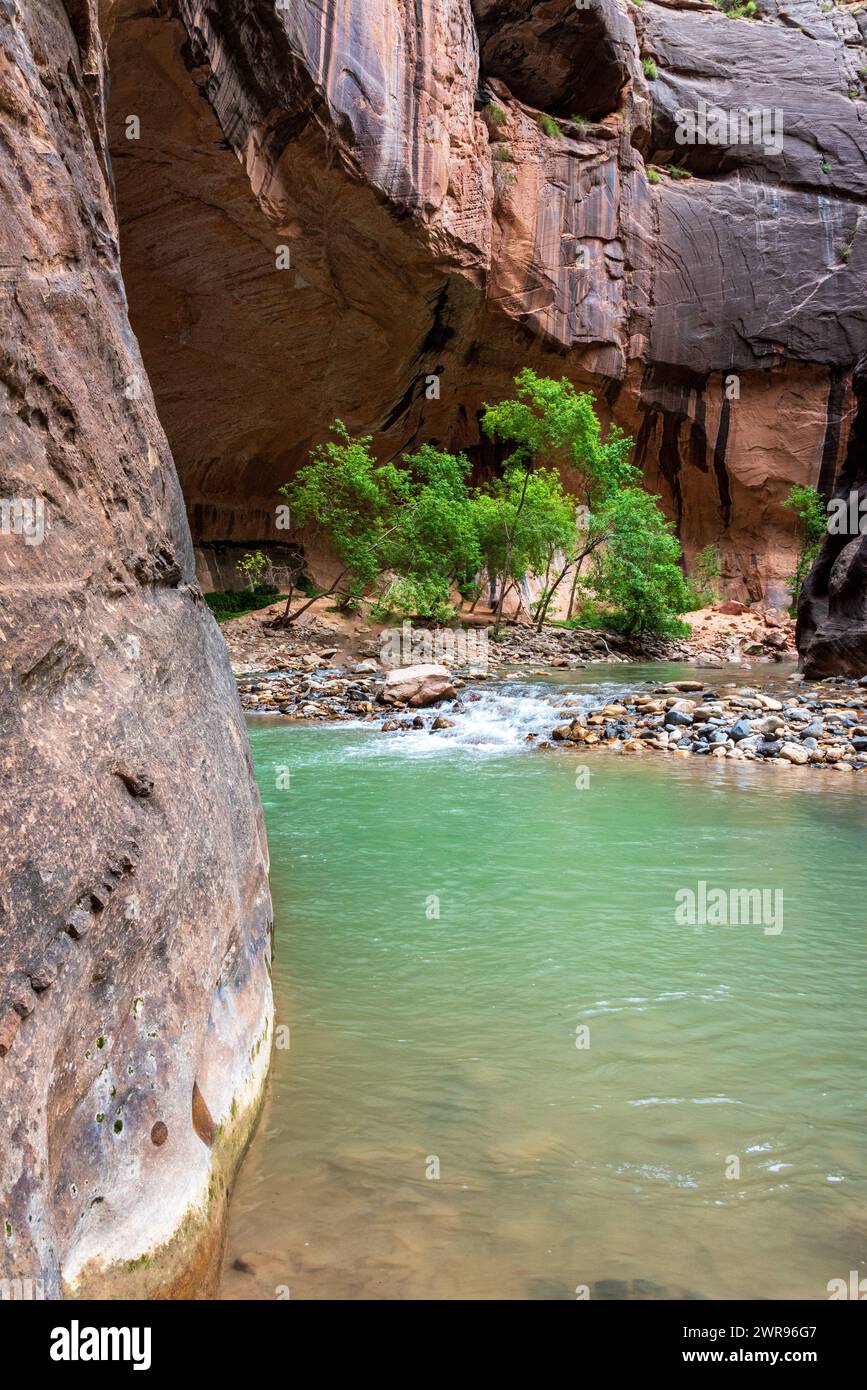 Prise de vue nuageuse de The Narrows, parc national de Zion, Utah, États-Unis. Banque D'Images