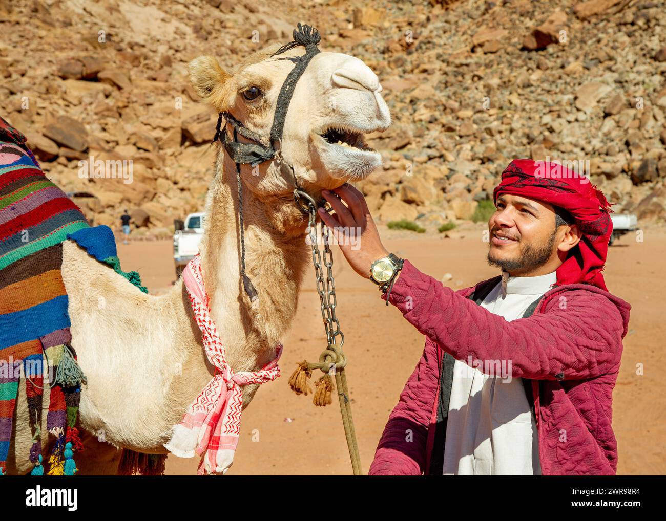 Décembre 27 2022- désert de Wadi Rum -Jordanie- Bédouin en veste rouge avec son chameau faire un lien Banque D'Images