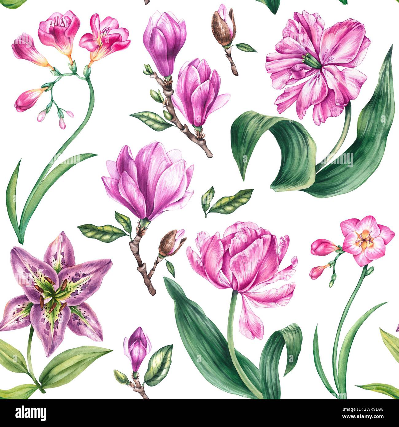 Aquarelle fleurissant motif sans couture sur un fond blanc. Modèle sans couture avec des fleurs dessinées à la main de lis, magnolia, freesia pour la conception de pack Banque D'Images