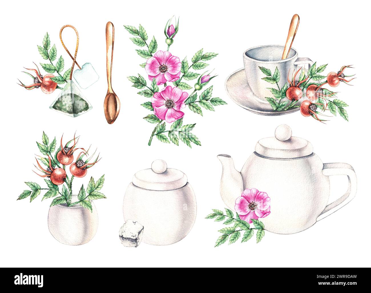 Service à thé blanc aquarelle, sachets de thé, fleurs de sucre et de rose musquée et baies isolées sur blanc. Set de thé pour la conception de l'emballage, étiquettes, produits alimentaires, e Banque D'Images