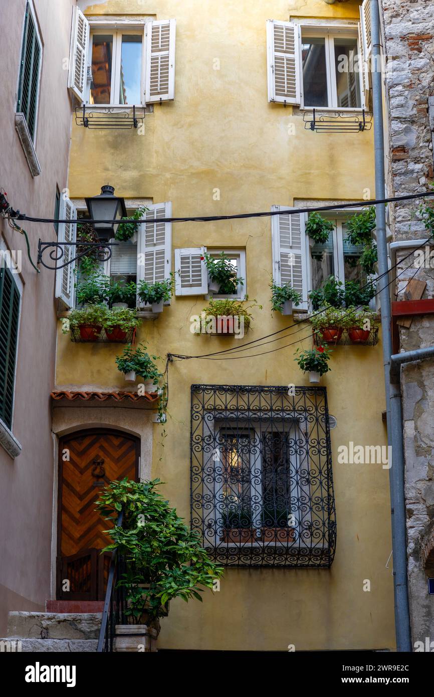 Belle façade jaune colorée à Rovinj Croatie avec fenêtres et volets. Banque D'Images