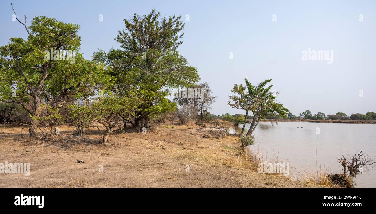 Plan d'eau ouvert dans le parc national de Kafue dans l'ouest de la Zambie, Afrique australe Banque D'Images
