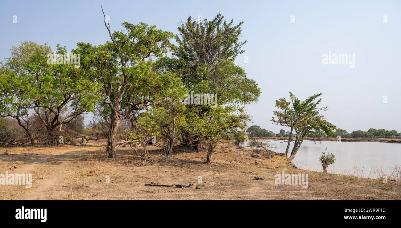 Plan d'eau ouvert dans le parc national de Kafue dans l'ouest de la Zambie, Afrique australe Banque D'Images