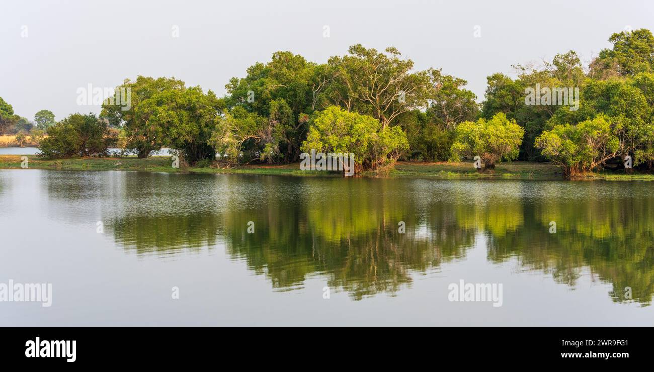 Vue panoramique de l'île sur la rivière Kafue dans le parc national de Kafue dans l'ouest de la Zambie, Afrique australe Banque D'Images