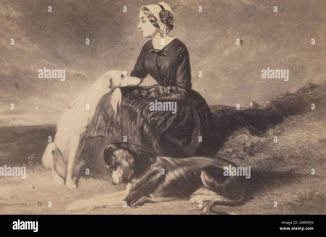 Reproduction photo d'un tableau, femme avec deux chiens dans le paysage, cette photo fait partie d'un album., Alfred de Dreux, après peinture par : anonyme, Berlin, 1860 - 1900, support photographique, tirage à l'albumen, hauteur 61 mm × largeur 101 mm, photographie Banque D'Images