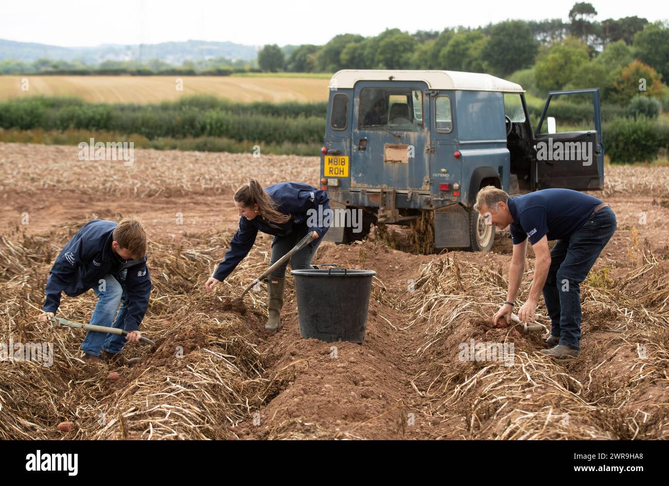 19/09/21 l/R : Johnny, Kitty et Anthony Froggatt. Timer : 00:02 Un agriculteur et sa famille creusent profondément pour essayer de briser leur objectif de tirer des pommes de terre Banque D'Images