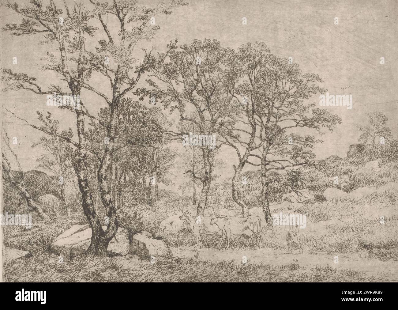 Vue dans la forêt de Fontainebleau avec deux vaches, imprimeur : Jean Pierre François Lamorinière, imprimeur : Jean Louis Van Kuyck, (éventuellement), 1838 - 1889, papier, gravure, hauteur 162 mm × largeur 224 mm, impression Banque D'Images