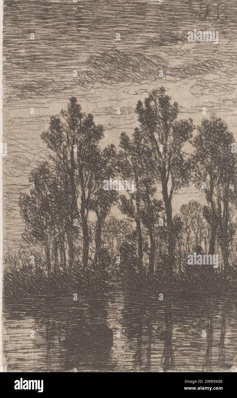 Rangée de peupliers au bord d'un lac, imprimeur : Jean Pierre François Lamorinière, 1838 - 1889, papier, gravure, hauteur 120 mm × largeur 82 mm, impression Banque D'Images