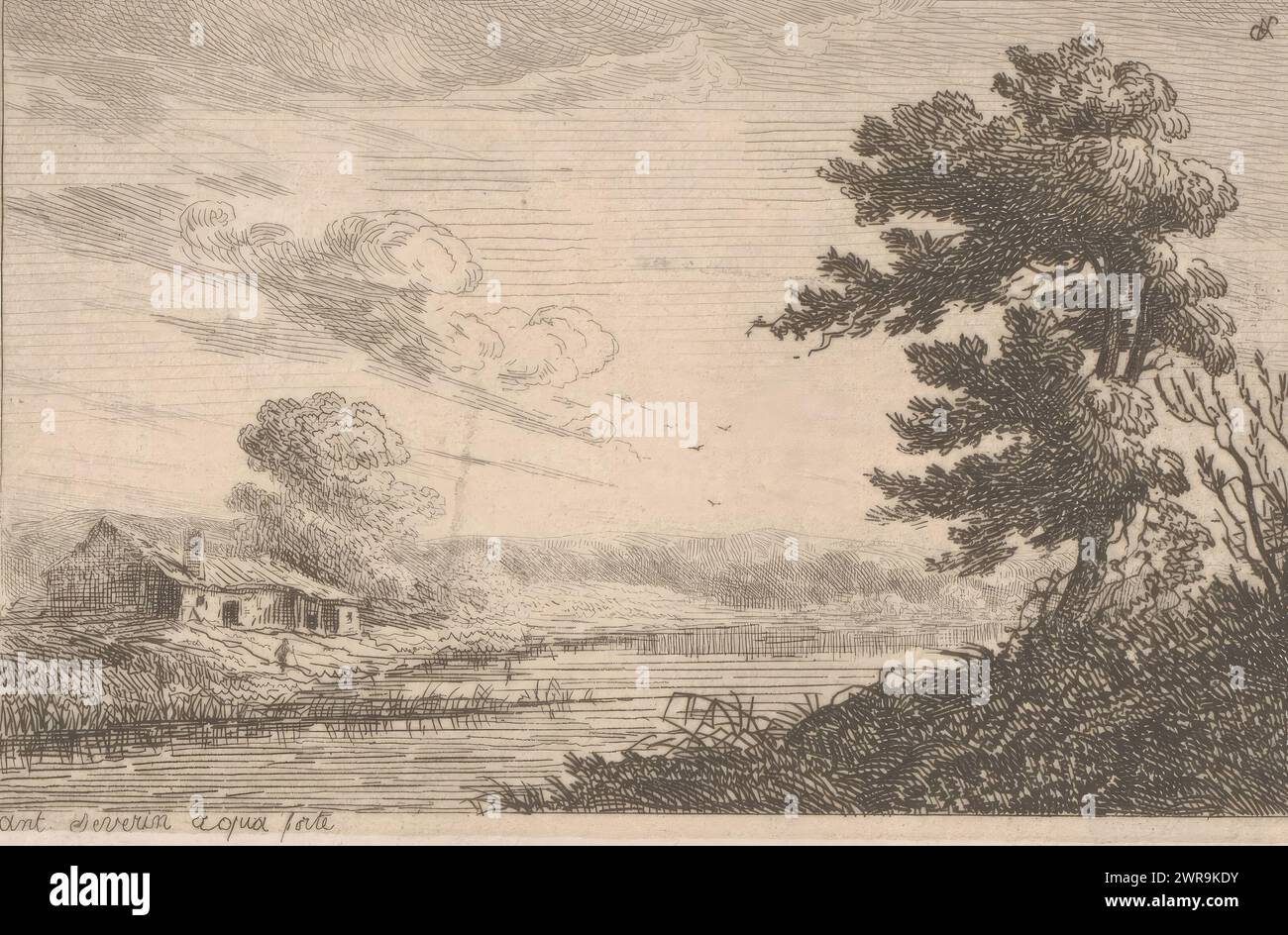 Gravure Ancienne Originale Paysage Aux Saules Par Charles Jacque, 1845, Eau-forte