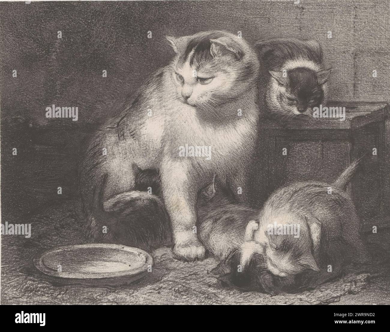 Chat avec oursons, deux oursons buvant de leur mère., imprimeur : Jan Mesker, d'après la conception de : Henriëtte Ronner, imprimeur : Koninklijke Nederlandsche Steendrukkerij, la Haye, 1867 - 1874, papier, hauteur 270 mm × largeur 352 mm, impression Banque D'Images