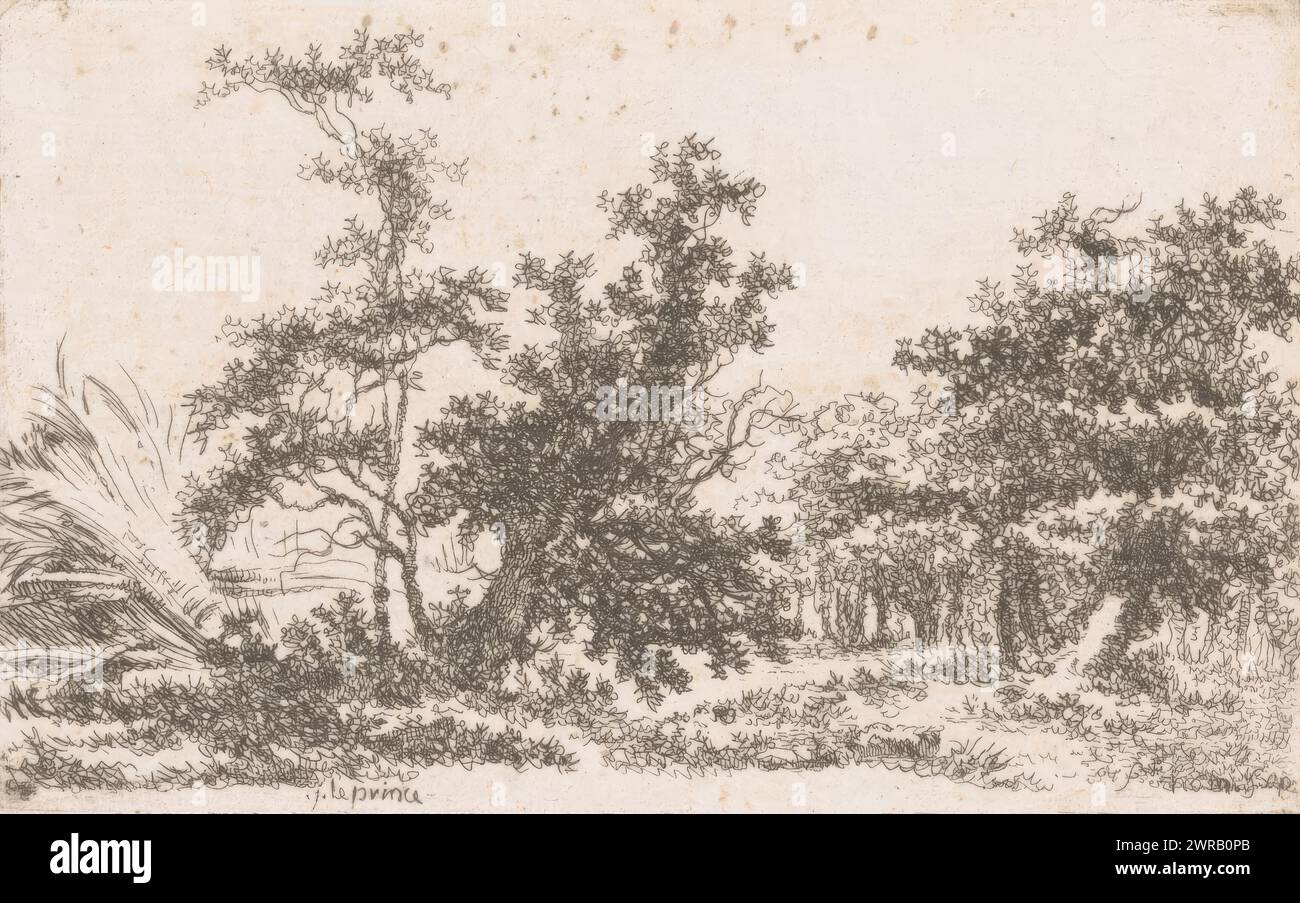 Paysage avec une clairière entre les arbres, imprimeur : Richard de Saint-non, après dessin par : Jean Baptiste Leprince, 1737 - 1791, papier, gravure, hauteur 69 mm × largeur 110 mm, impression Banque D'Images Paysage avec une clairière entre les arbres, imprimeur : Richard de Saint-non, après dessin par : Jean Baptiste Leprince, 1737 - 1791, papier, gravure, hauteur 69 mm × largeur 110 mm, impression Banque D'Images
