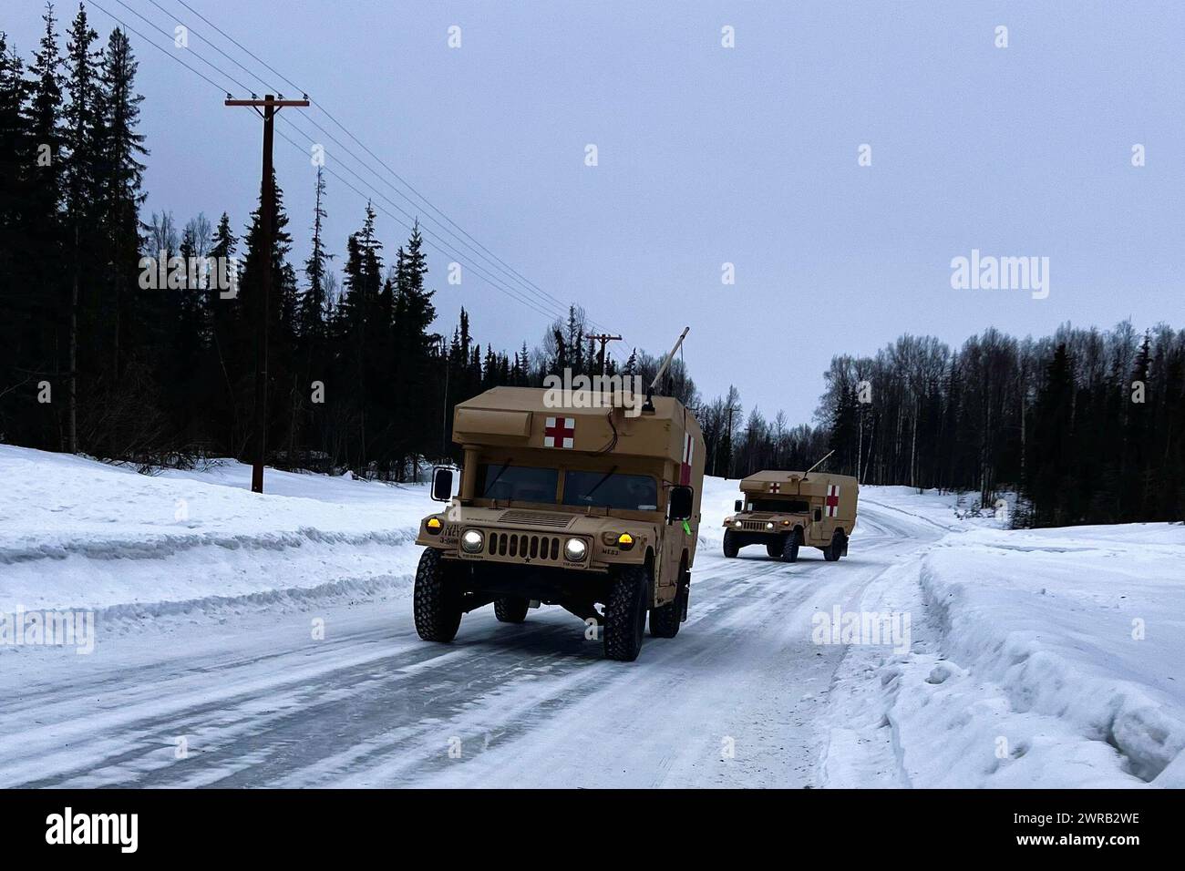 Les membres de l’équipe de l’activité de développement du matériel médical de l’armée américaine se sont joints à un contingent militaire multinational et gouvernemental pour tester les technologies et les traitements médicaux en développement à la base interarmées Elmendorf-Richardson, en Alaska, du 4 au 10 mars 2024. Dans le cadre de l’exercice Arctic Edge 24 du US Northern Command, les développeurs de l’USAMMDA se sont associés à des prestataires médicaux militaires de première ligne pour mener des exercices et des expériences en dessous de zéro médecine et évaluer les progrès des programmes d’abris par temps froid extrême et plasma lyophilisé de l’armée américaine. Arctic Edge 24 est une patrie américaine dirigée par le Northern Command Banque D'Images