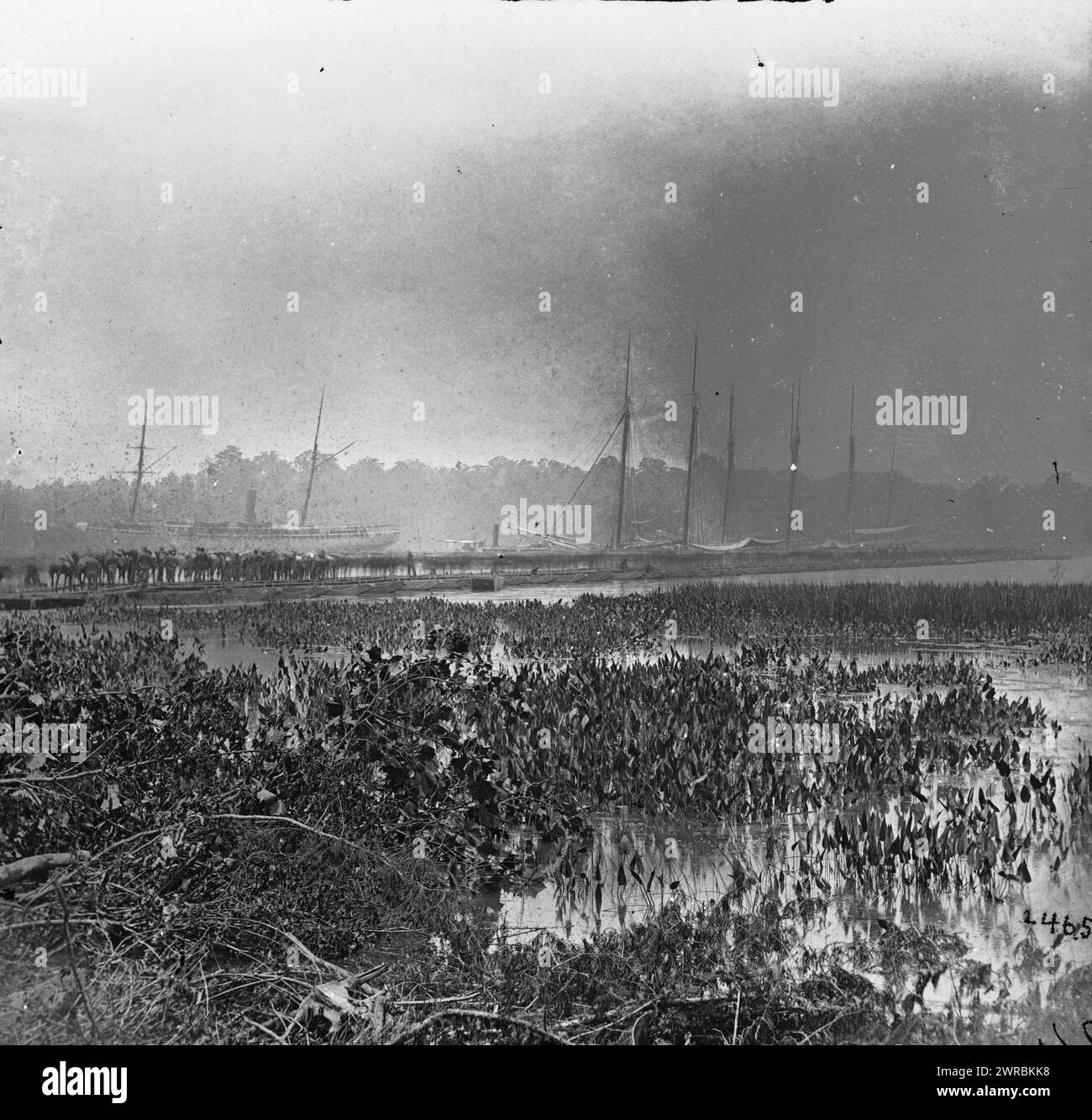 James River, Virginie. Pont flottant sur lequel l'armée du Potomac a traversé, 1864 juin 1864., États-Unis, histoire, guerre civile, 1861-1865, négatifs en verre, 1860-1870., stéréographies, 1860-1870, négatifs en verre, 1860-1870, 1 négatif (2 plaques) : verre, stéréographe, collodion humide Banque D'Images
