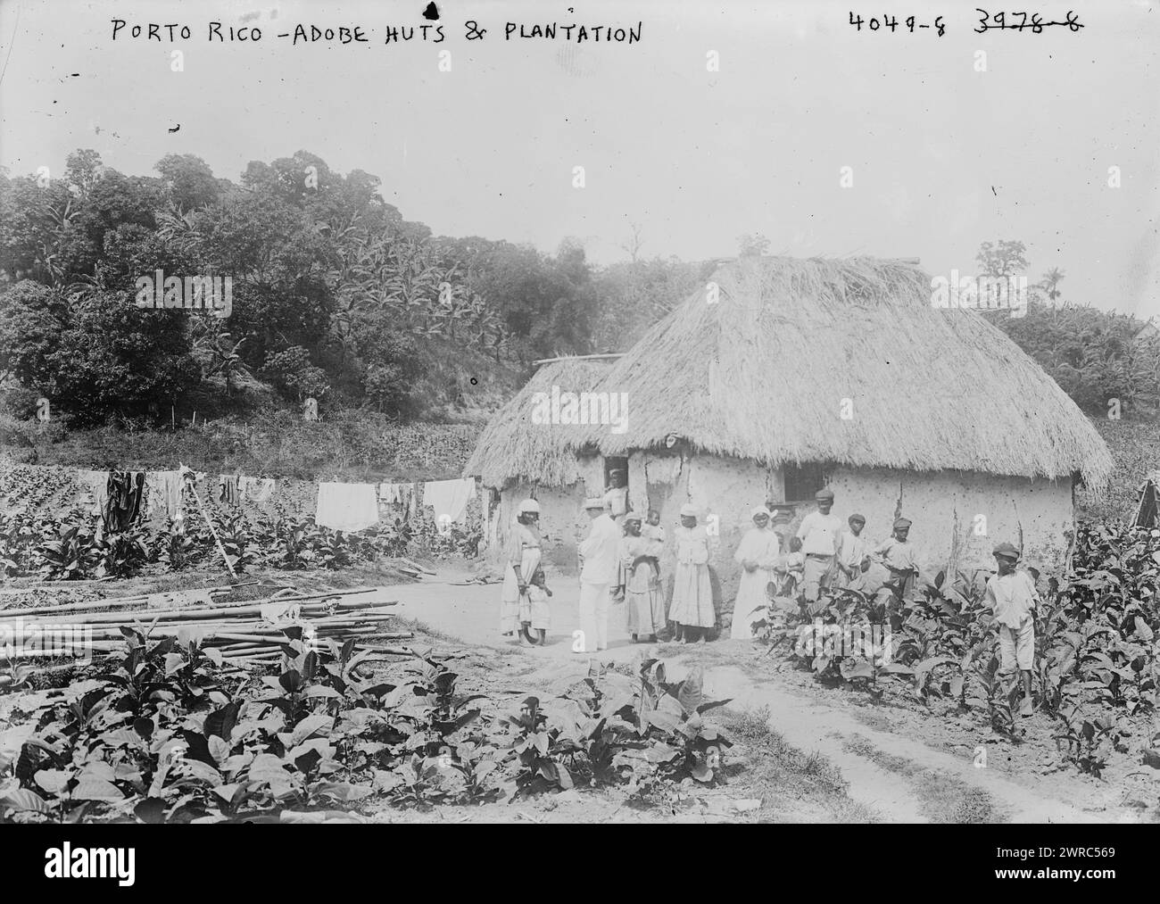 Porto Rico, Adobe huttes & plantation, entre CA. 1915 et env. 1920, négatifs en verre, 1 négatif : verre Banque D'Images