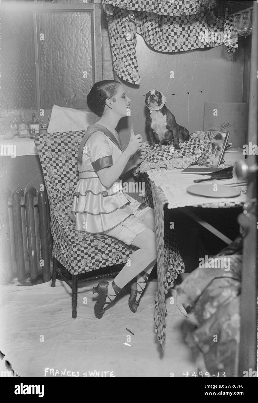 Frances White, photographie montre l'actrice et chanteuse Frances White (1896-1969), assise dans son dressing avec un chien., 1917 Nov. 19, négatifs en verre, 1 négatif : verre Banque D'Images