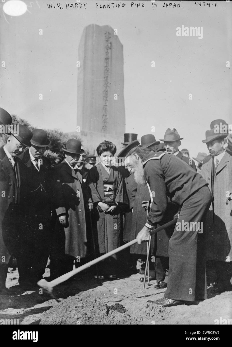 W. H. Hardy plantant du pin au Japon, la photographie montre William H. Hardy, un membre de la marine américaine lors de la mission du commodore Perry au Japon en 1853. Hardy est montré en train de planifier un pin de l'Oregon lors d'une visite au port de Kurihama, Japon en 1917., 1917, Jap, verres négatifs, 1 négatif : verre Banque D'Images