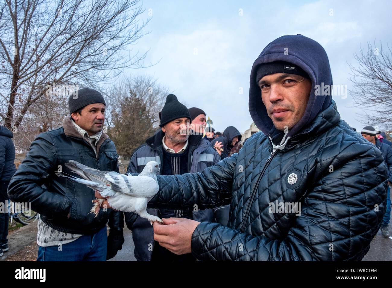 Un groupe d'hommes expose leurs pigeons de compagnie dans le centre-ville. Boukhara, Ouzbékistan. Banque D'Images