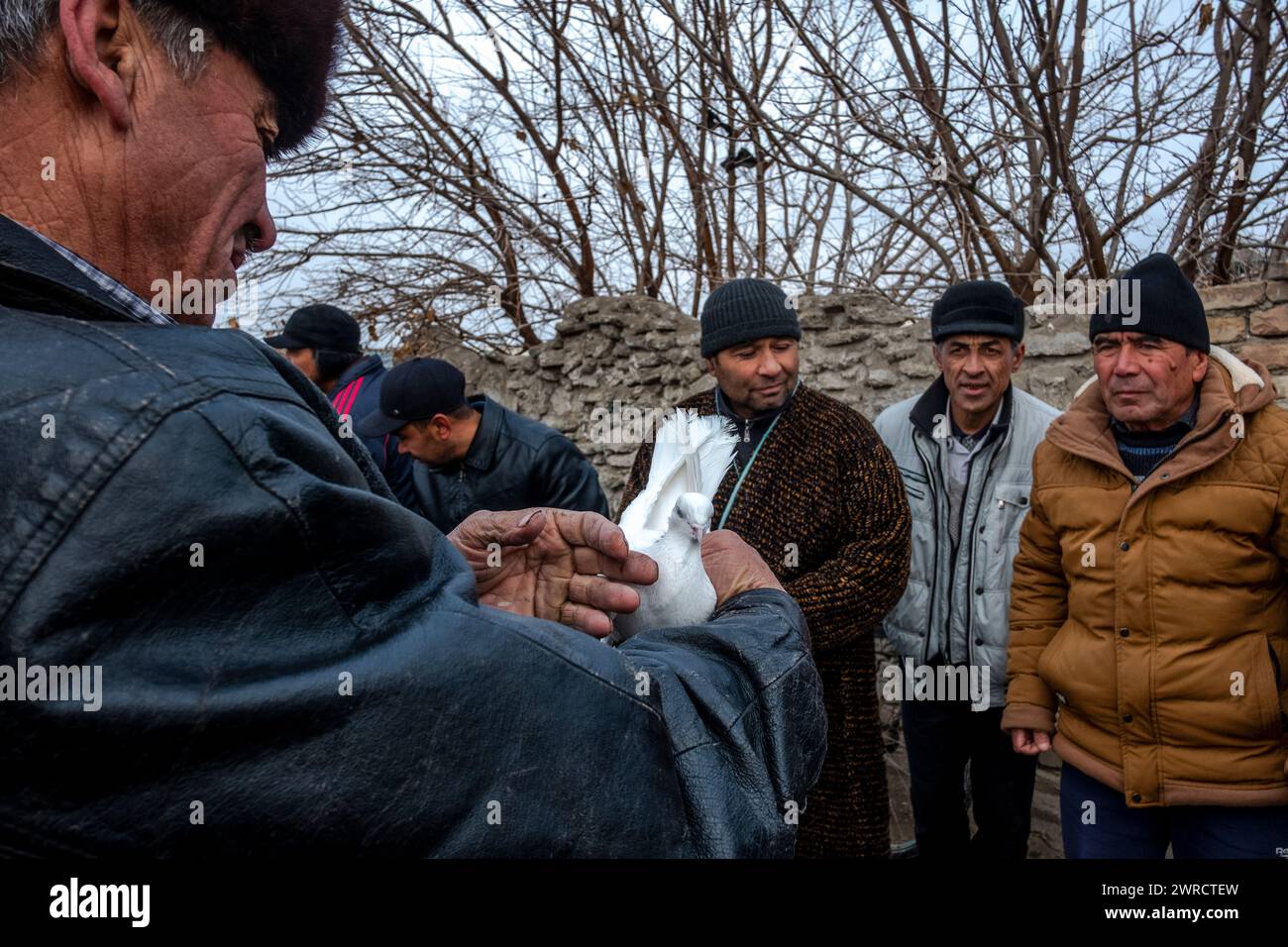 Un groupe d'hommes expose leurs pigeons de compagnie dans le centre-ville. Boukhara, Ouzbékistan. Banque D'Images