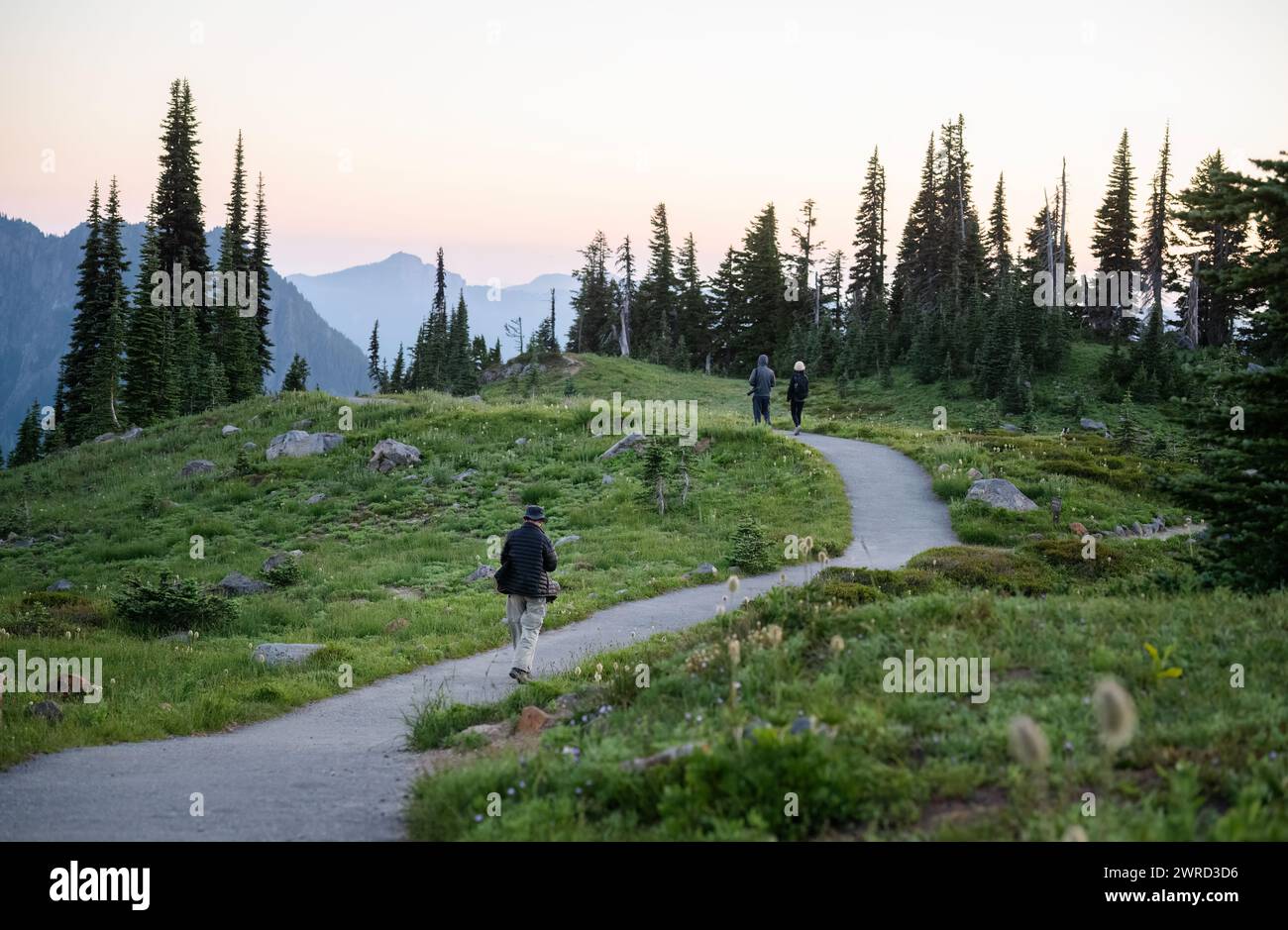 Les gens marchent Paradise au coucher du soleil. Parc national de Mount Rainier. Etat de Washington. ÉTATS-UNIS. Banque D'Images