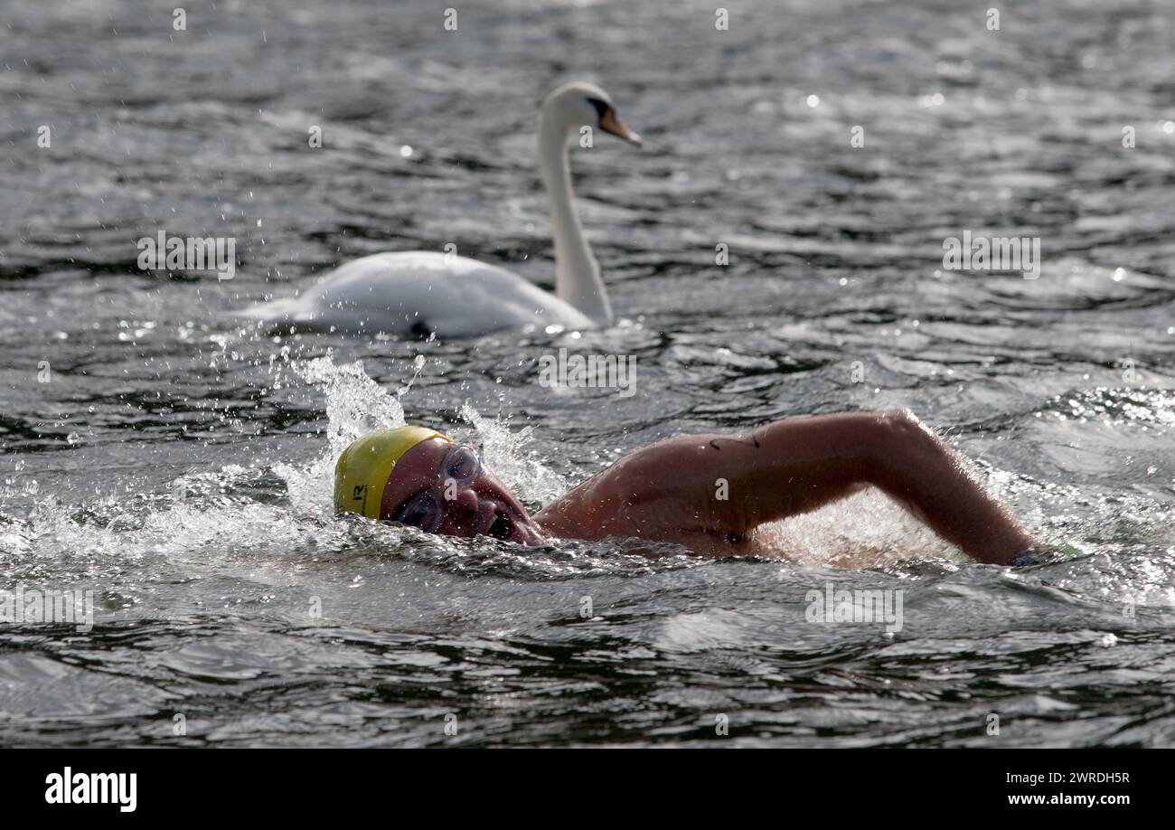 29/08/15 Kevin Walsh passe un cygne tôt dans la course. De forts vents de queue aident à battre son temps cible de cinq heures et demie. Compe Banque D'Images