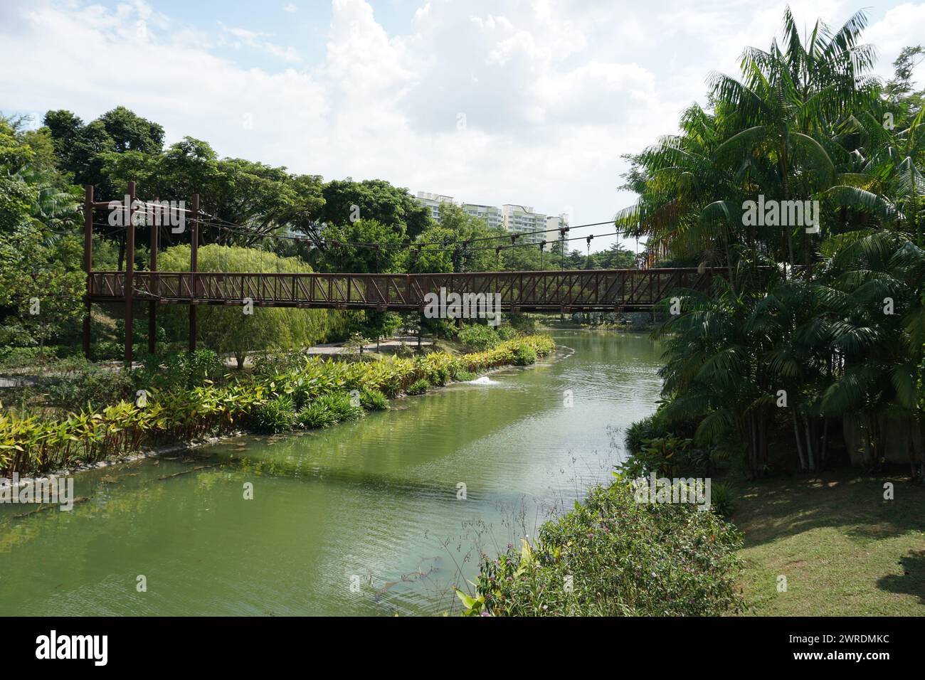 Adventure Bridge et Punggol Waterway dans Punggol Waterway Park à Punggol, Singapour Banque D'Images