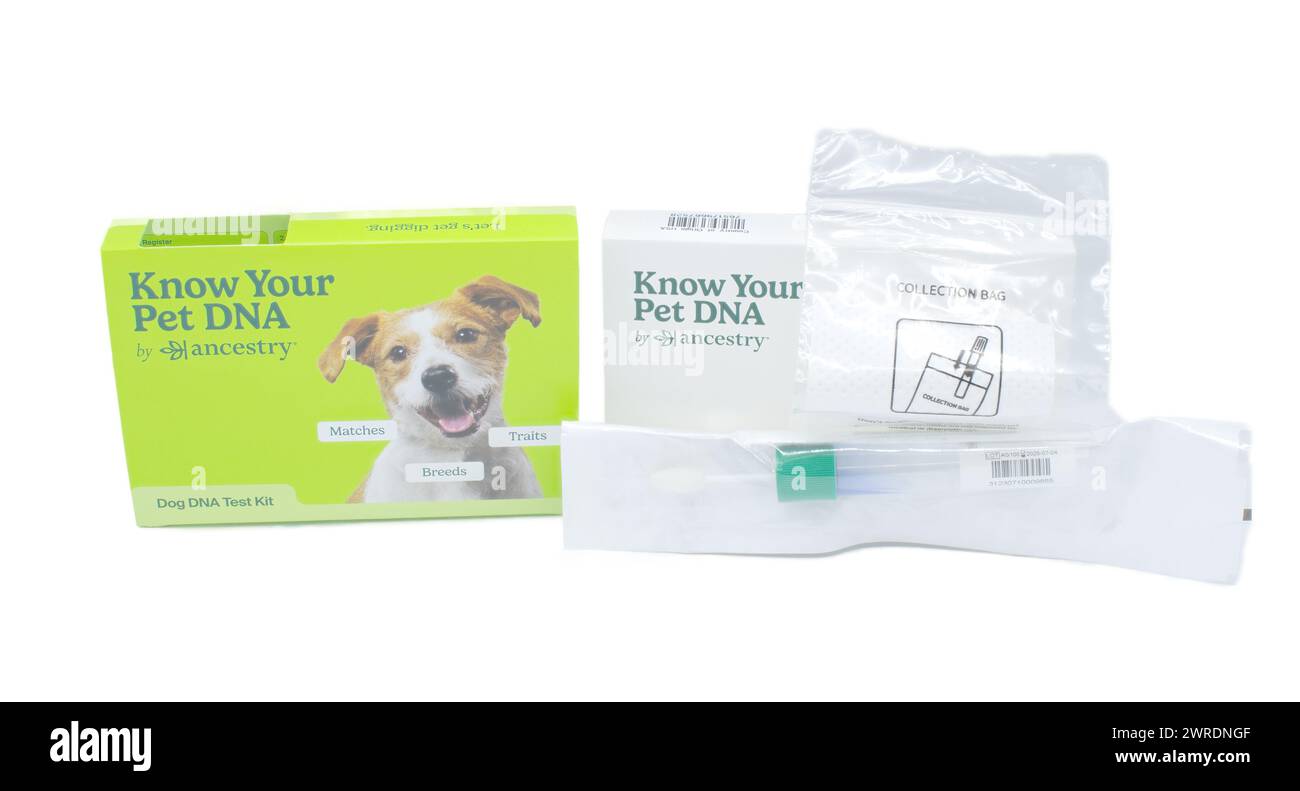Ocala, FL 3-11-2024 connaissez votre chien animal de compagnie ou votre chat ADN par Ancestry kit de test de écouvillon montrant la boîte verte et blanche avec paquet de retour, sac de collecte et Banque D'Images