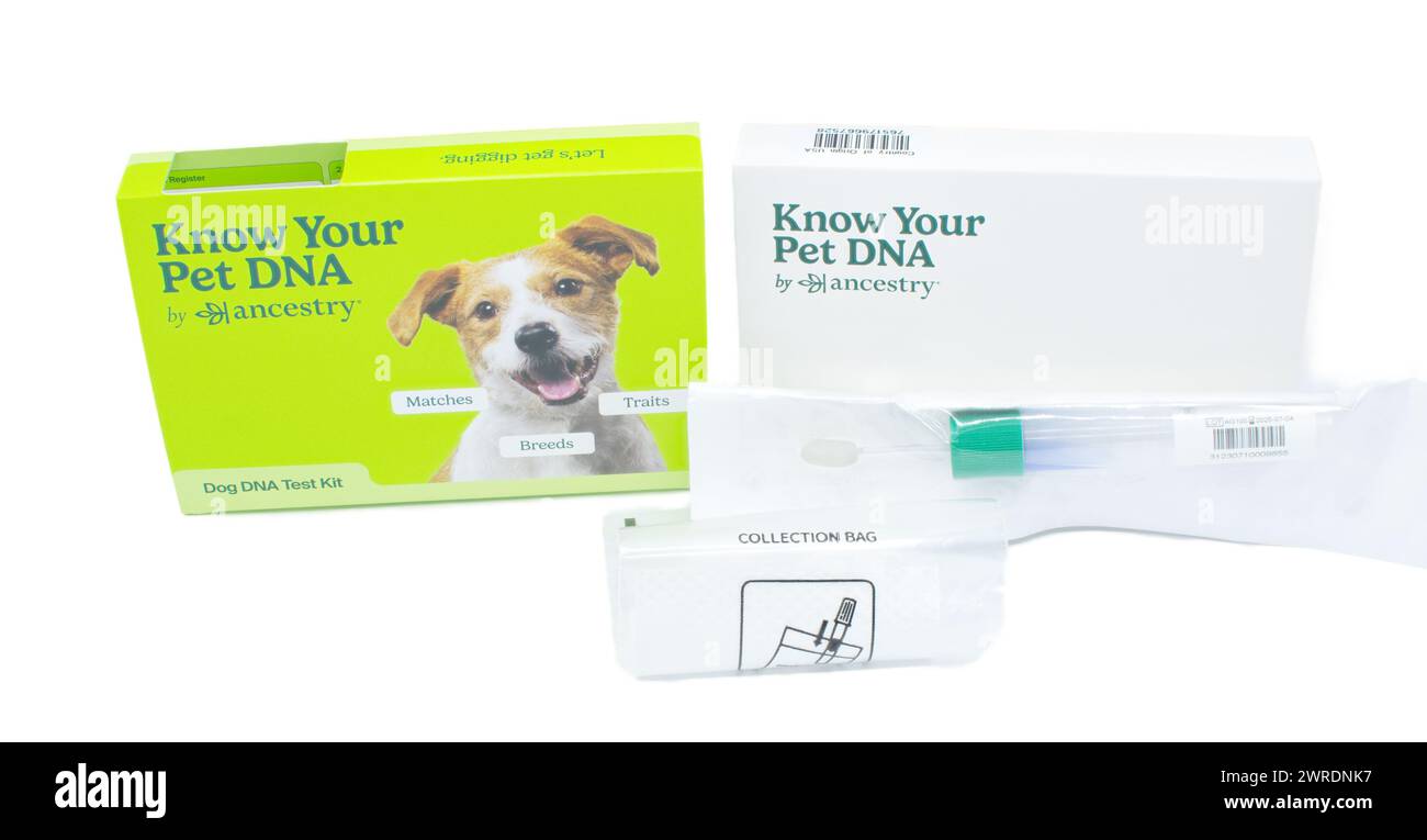 Ocala, FL 3-11-2024 connaissez votre chien animal de compagnie ou votre chat ADN par Ancestry kit de test de écouvillon montrant la boîte verte et blanche avec paquet de retour, sac de collecte et Banque D'Images
